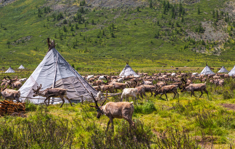 Winter Tsaatan tour 