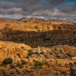 Gallery Thumbnail 0